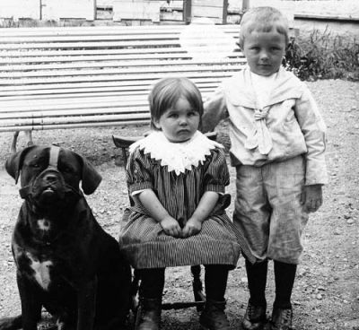Pojke flicka och hund på grusplan
Nyckelord: Hund