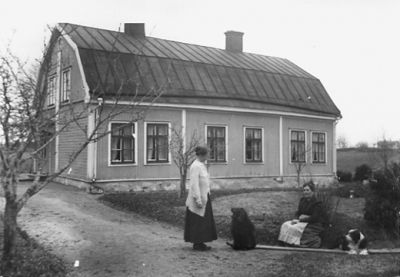 2 kvinnor och 2 hundar framför byggnad.
Nyckelord: Hund Väg