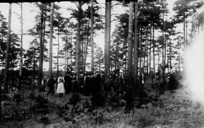 Folksamling i skog.
Nyckelord: Skog