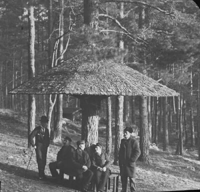 5 män under paraply/regnskydd i skogen
