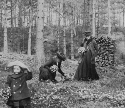 2 kvinnor och 1 flicka med blombuketter
Nyckelord: Vedtrave