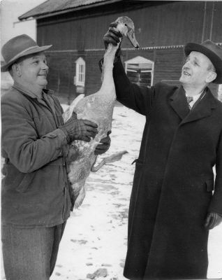 2 män med svan
Birger Andersson och Axel Laurell
Nyckelord: Svan