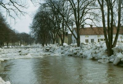 Översvämning av vattendrag
