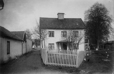 Stadsvy med byggnader och frigående höns
Nyckelord: Höns