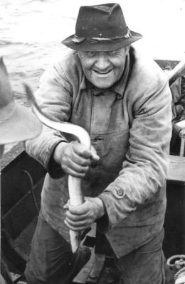 Ålfångare
