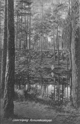 Skogstjärn
