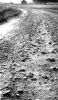 B8738.jpg