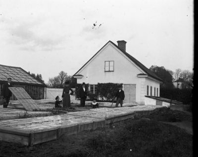 Man, kvinna och barn stående bland odlingslådor 
Nyckelord: odling Växthus Hus