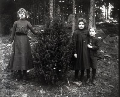 2 flickor och 1 pojke stående i skogen
Nyckelord: Dräkt