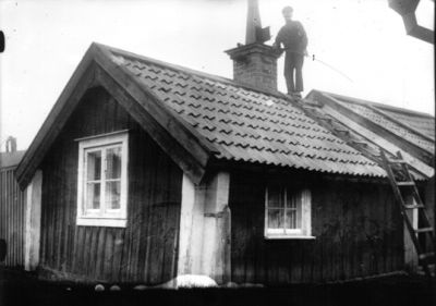 Sotare stående på tak.
Nyckelord: Sotare Bostad