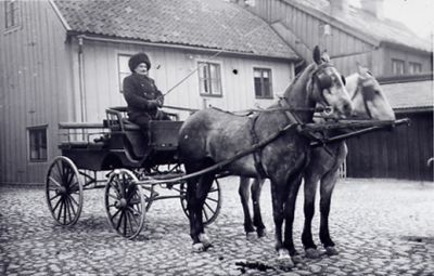 Man sittande på hästekipage.
Nyckelord: Häst Hästkärra