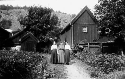 3 kvinnor stående på gård.
Nyckelord: Trädgård