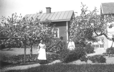 Man och 2 kvinnor stående i trädgård.
Nyckelord: Fruktträd