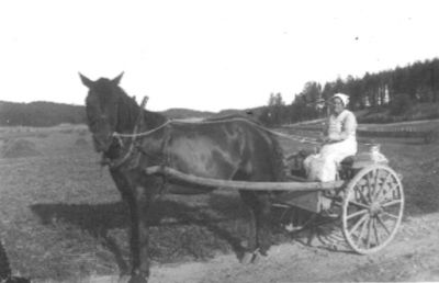 Kvinna sittande i hästekipage.
Nyckelord: Häst