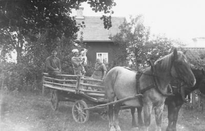 4 personer i hästekipage.
Nyckelord: Häst Vagn