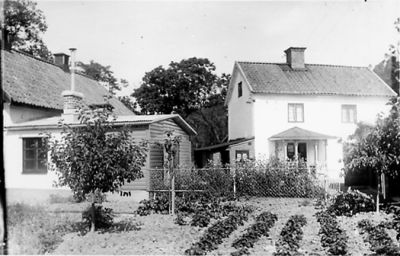 Trädgård med byggnad.
Nyckelord: Fruktträd Trädgårdsland