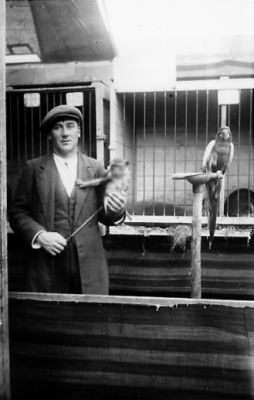 Man stående med apa i famnen och papegoja sittande på ställning.
Nyckelord: Apa Papegoja