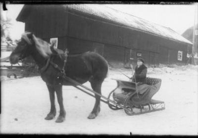 Kvinna sittande på hästekipage.
Nyckelord: Häst Släde Vinter