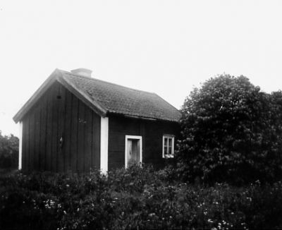 Byggnad i grönska.
