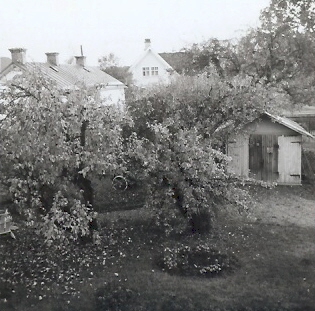Stadsvy med innergård
