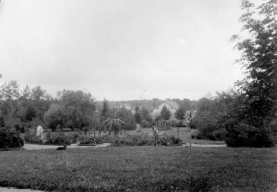 Park till herrgård eller slott
Nyckelord: Hund