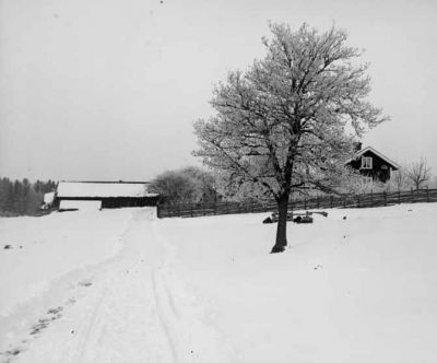 Hus på landet i vinterskrud
