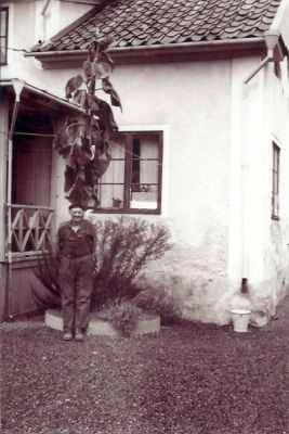 Man stående framför byggnad
Nyckelord: Solros