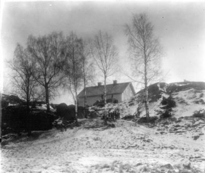 Hus på höjd
Nyckelord: Träd