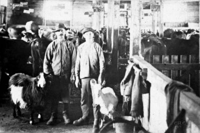 Ladugårdsinteriör
Nyckelord: Get Hink