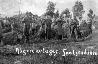 Skördearbete
Nyckelord: Lie