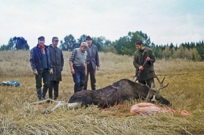 Män vid skjuten älg
