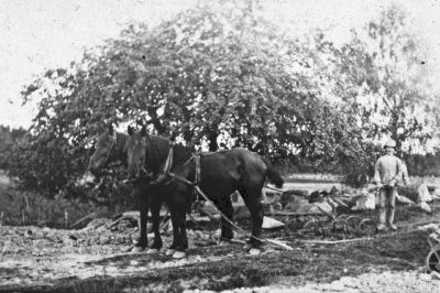 Man vid hästdragen harv
Nyckelord: Häst;Harv