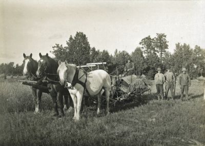 4 män vid självbindare
Nyckelord: Självbindare;Häst