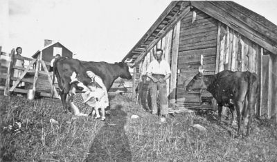 Kvinna man och flicka i kohagen
Nyckelord: Ko