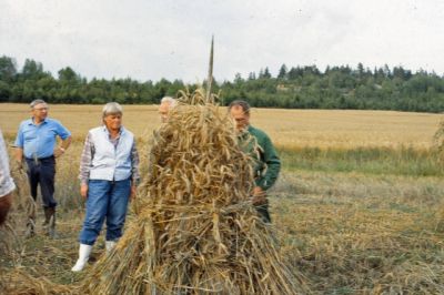 Sädesskörd
Nyckelord: Råg