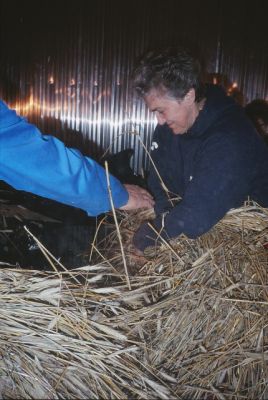 Skördearbete
Nyckelord: Råg