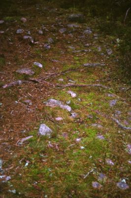 Undersökning av fornminne
