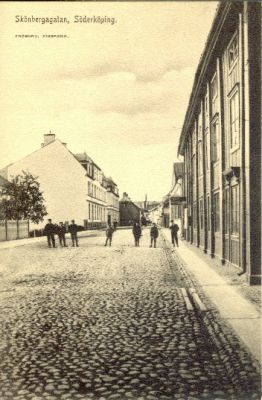 7 skolgrabbar på kullerstensgata
