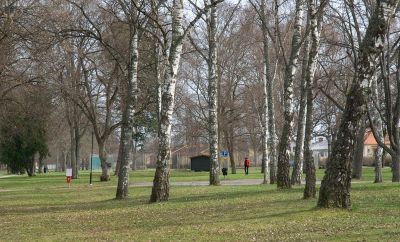 Park
