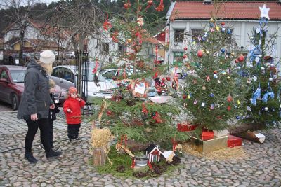 Julgransutställning på torg
