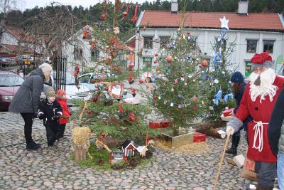 Julgransutställning på torg
