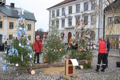 Julgransutställning på torg
