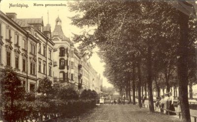 Stor gata med trädplanteringar
