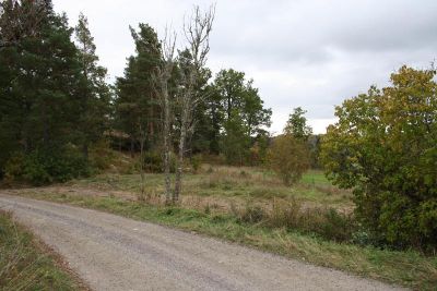 Äng utmed väg
