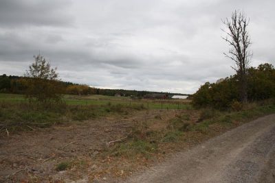 Äng utmed väg
