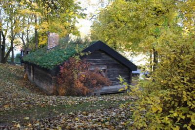 Stockstuga i parkmiljö
