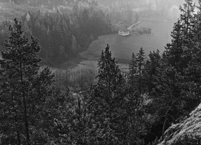 Torp i skogsbryn
